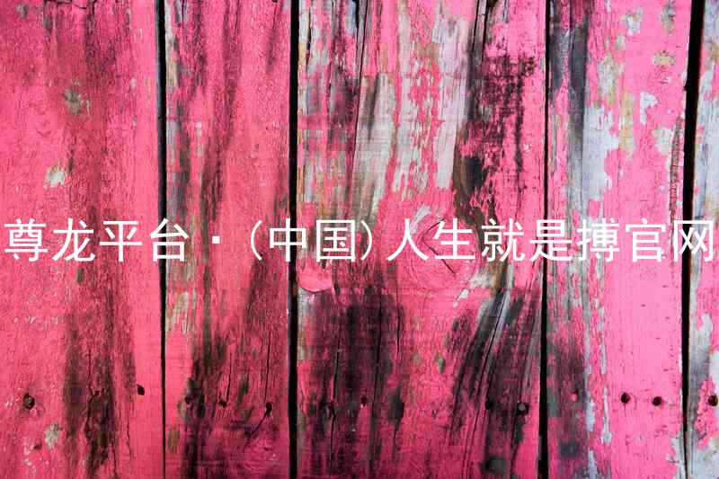 尊龙平台·(中国)人生就是搏官网